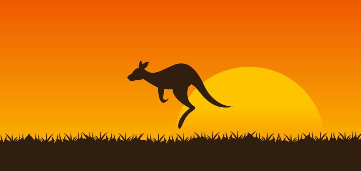 Председателю профкома для для сбора чеков к отчету профкома.